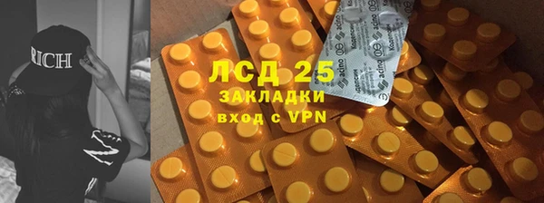 ПСИЛОЦИБИНОВЫЕ ГРИБЫ Алексеевка