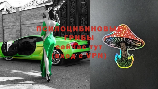 ПСИЛОЦИБИНОВЫЕ ГРИБЫ Алексеевка