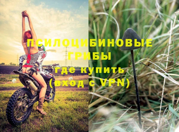 ПСИЛОЦИБИНОВЫЕ ГРИБЫ Алексеевка