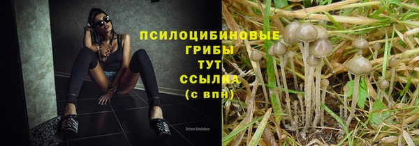 ПСИЛОЦИБИНОВЫЕ ГРИБЫ Алексеевка