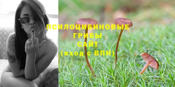 эйфоретик Алзамай