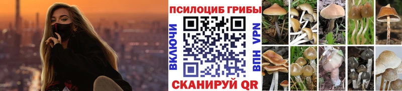 Псилоцибиновые грибы GOLDEN TEACHER  Сыктывкар 