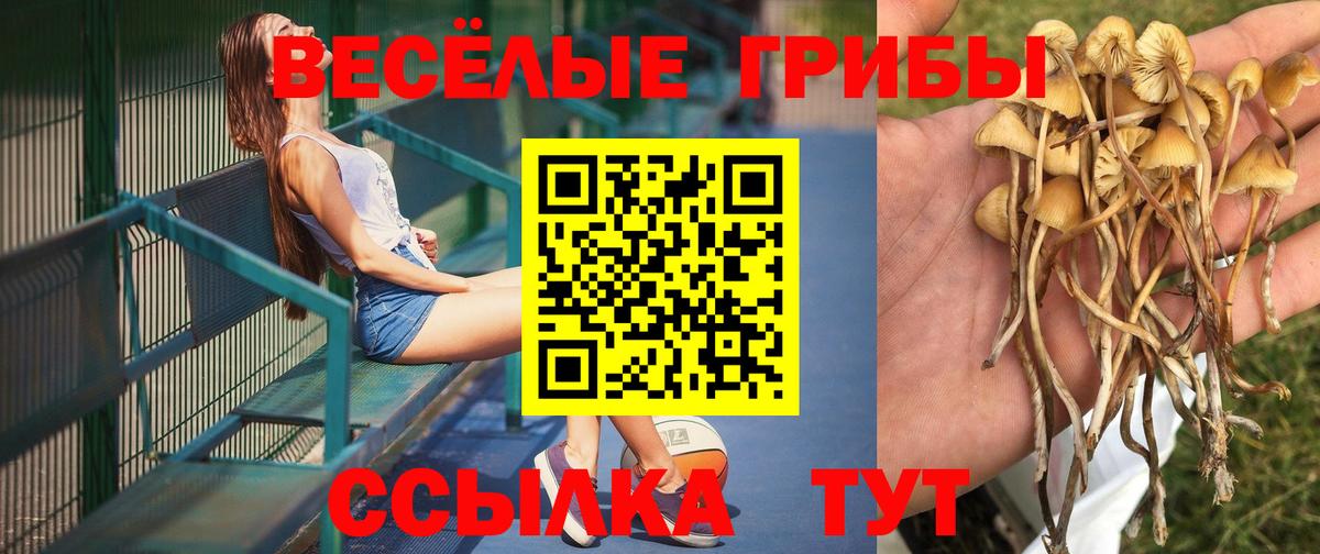Галлюциногенные грибы мухоморы Сыктывкар