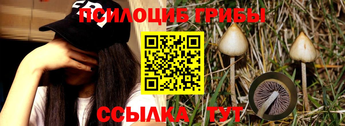 Псилоцибиновые грибы мухоморы  Вход с VPN  Сыктывкар 