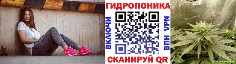 дарк нет телеграм  Сыктывкар  Марихуана семена 